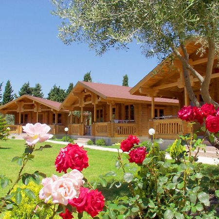 העיירה קוס Sandy'S Studios Apartments & Log-Villas מראה חיצוני תמונה