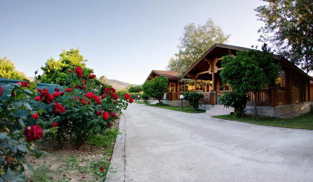 העיירה קוס Sandy'S Studios Apartments & Log-Villas מראה חיצוני תמונה